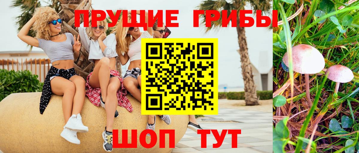 как найти закладки  Галлюциногенные грибы Psilocybe  Вход с VPN  Псилоцибиновые грибы мицелий  Белгород 